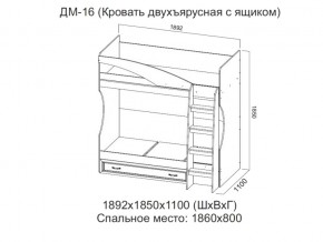 ДМ-16 Кровать двухъярусная с ящиком в Лангепасе - langepas.магазин96.com | фото