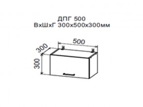 Шкаф верхний ДПГ500 горизонтальный в Лангепасе - langepas.магазин96.com | фото