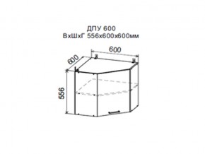 Шкаф верхний ДПУ600 угловой в Лангепасе - langepas.магазин96.com | фото
